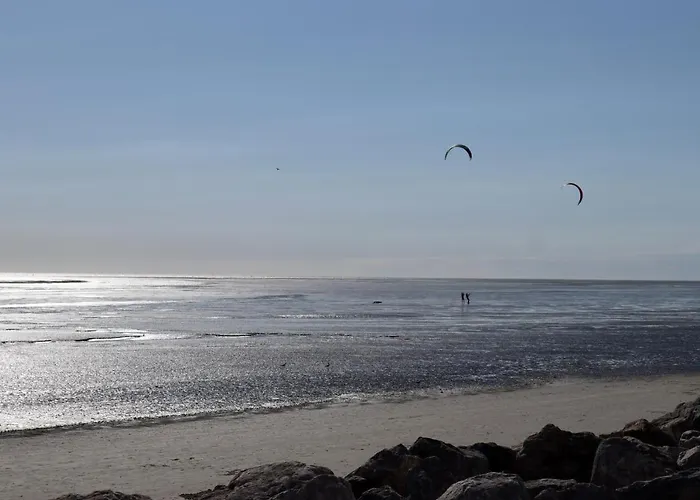 Maison A 300m De La Plage, Classee 3 Etoiles -